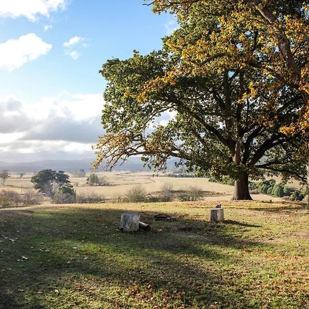 Twamley Farm Villa Buckland Bagian luar foto